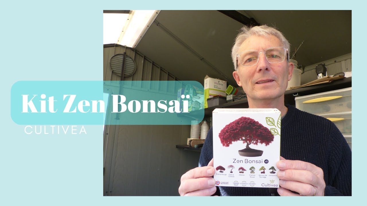 Kit zen bonsaï - Cultivea - Monjardindansleslandes