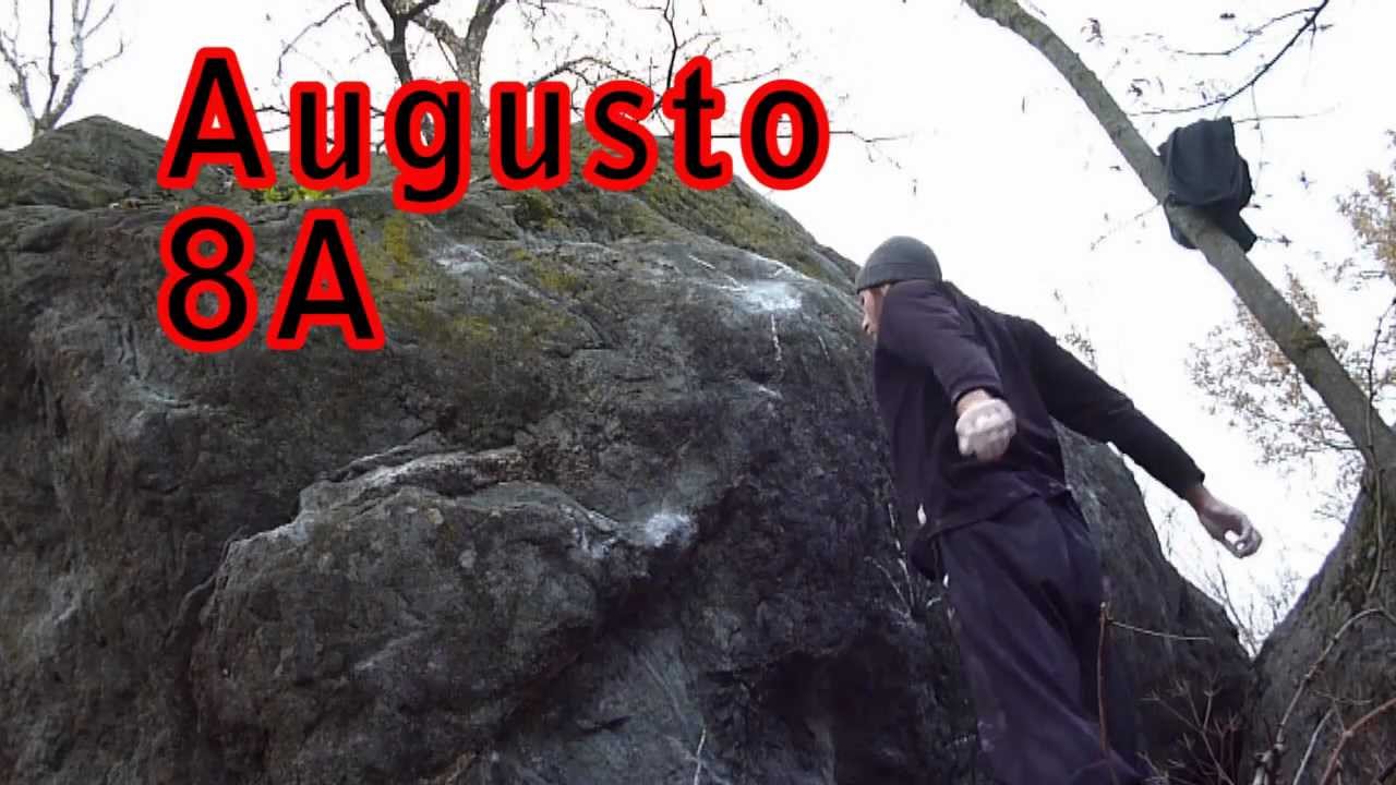 augusto 8A