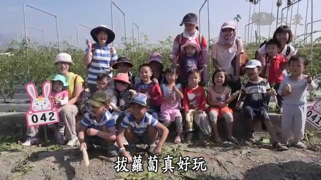 【農夫與他的田】20150112 - 美濃白玉蘿蔔