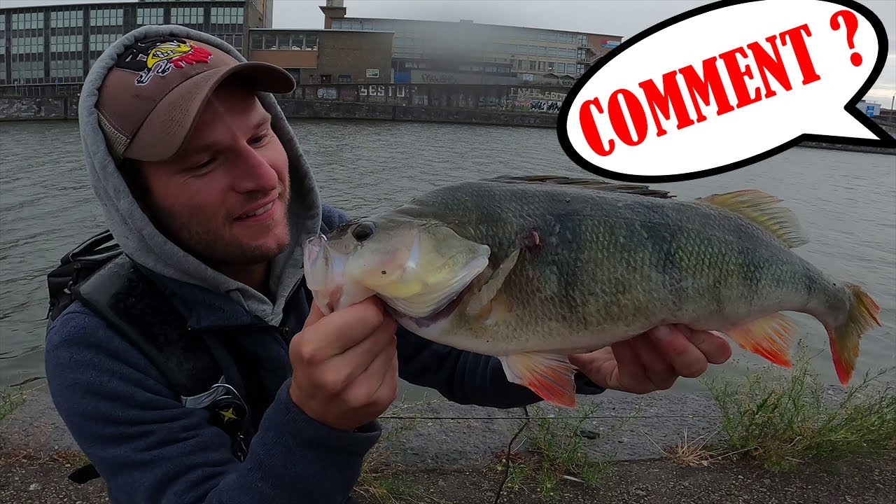 Une TECHNIQUE de PECHE au CARNASSIER a CONNAITRE