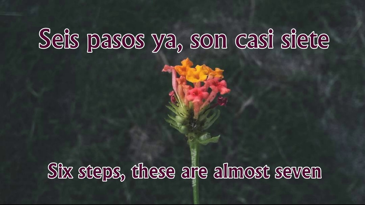Soha - Mil pasos |letra en espa&ntilde;ol-ingl&eacute;s|