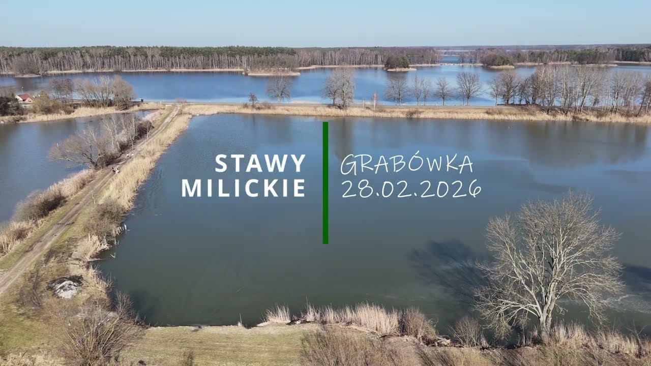 Stawy Milickie, wieś Grabówka