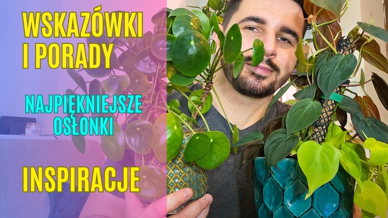 Roślinne kompozycje / Najpiękniejsze osłonki dla roślin / Inspiracje