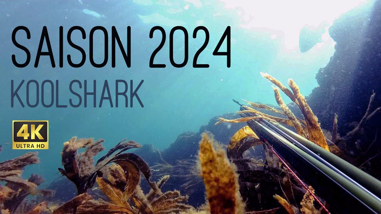 Chasse sous marine - Saison 2024  (Morbihan/Bretagne)