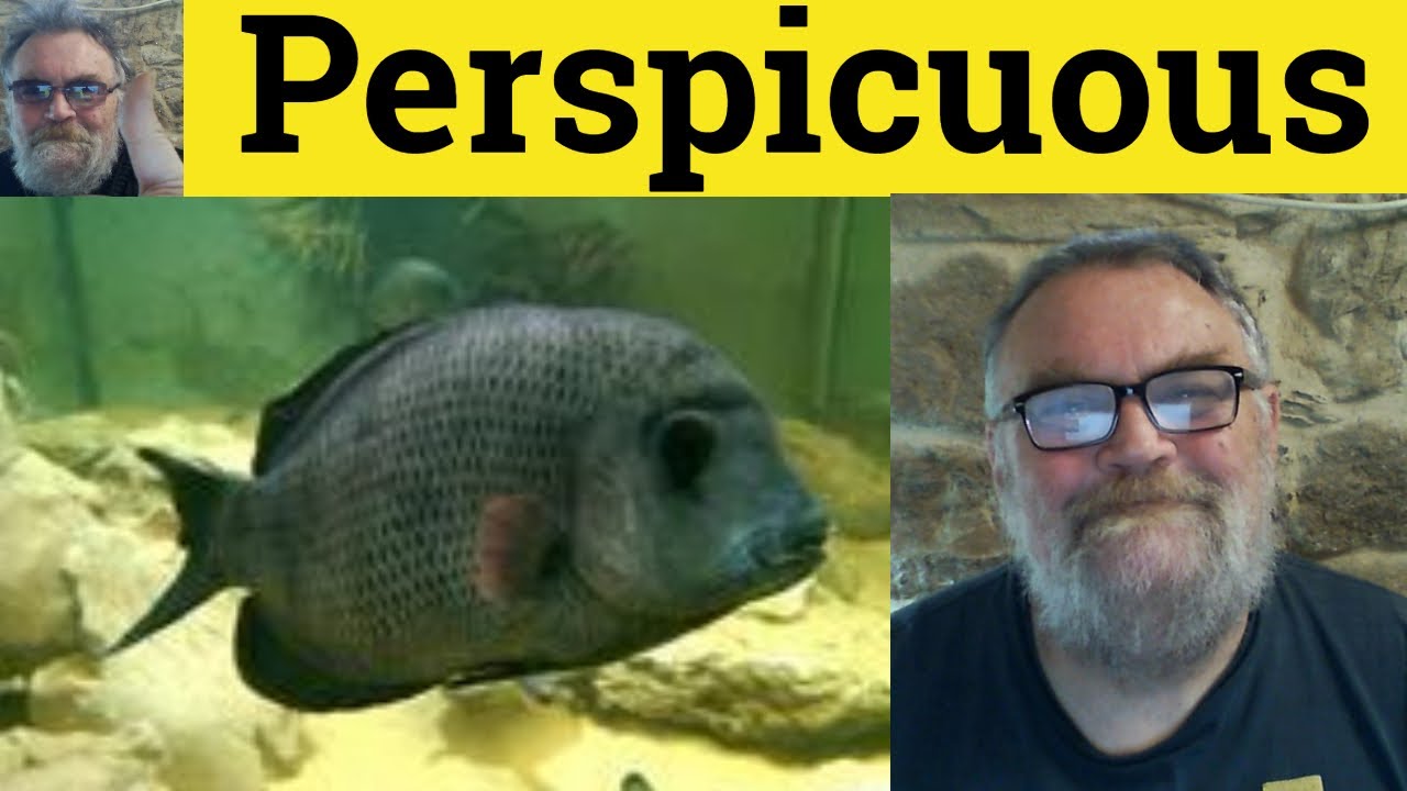 🔵 Perspicuous - Meaning - Perspicuous Examples - Perspicuously Explained - Formal Vocab Perspicuous