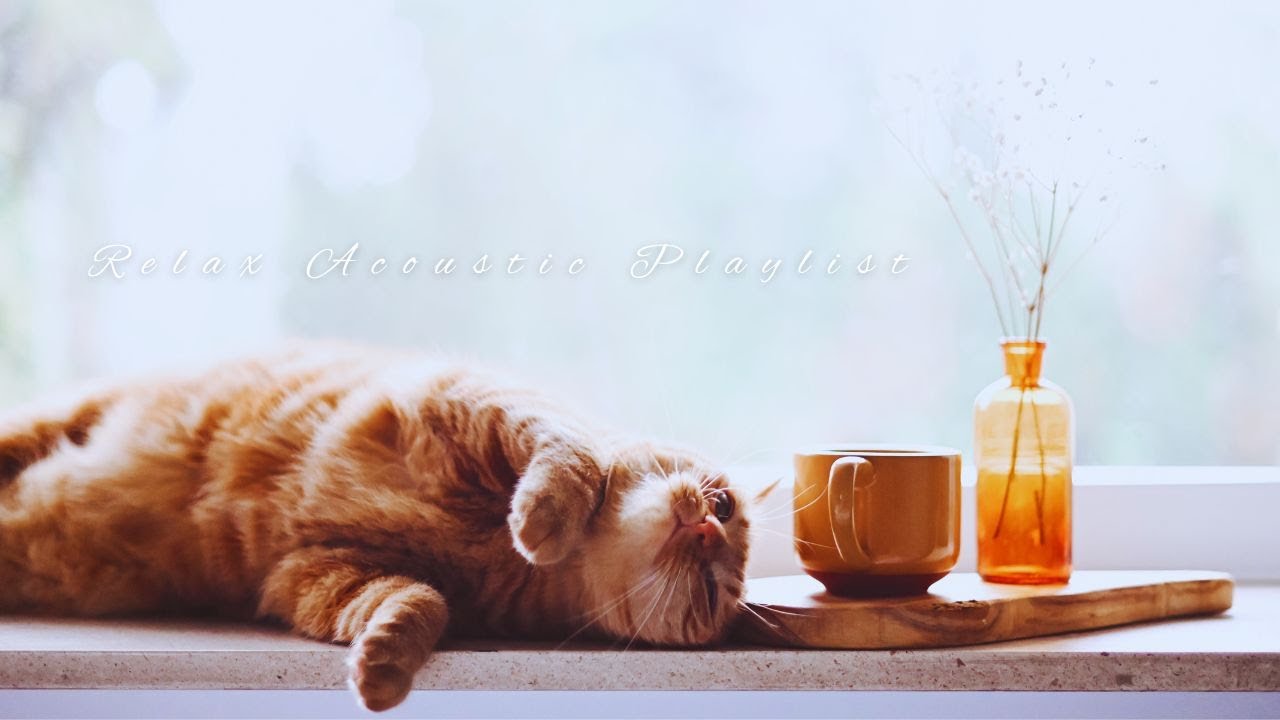 韓式小情歌 ♫ 想念一個人不孤單~ Acoustic music   Unplugged K pop music Relax Music