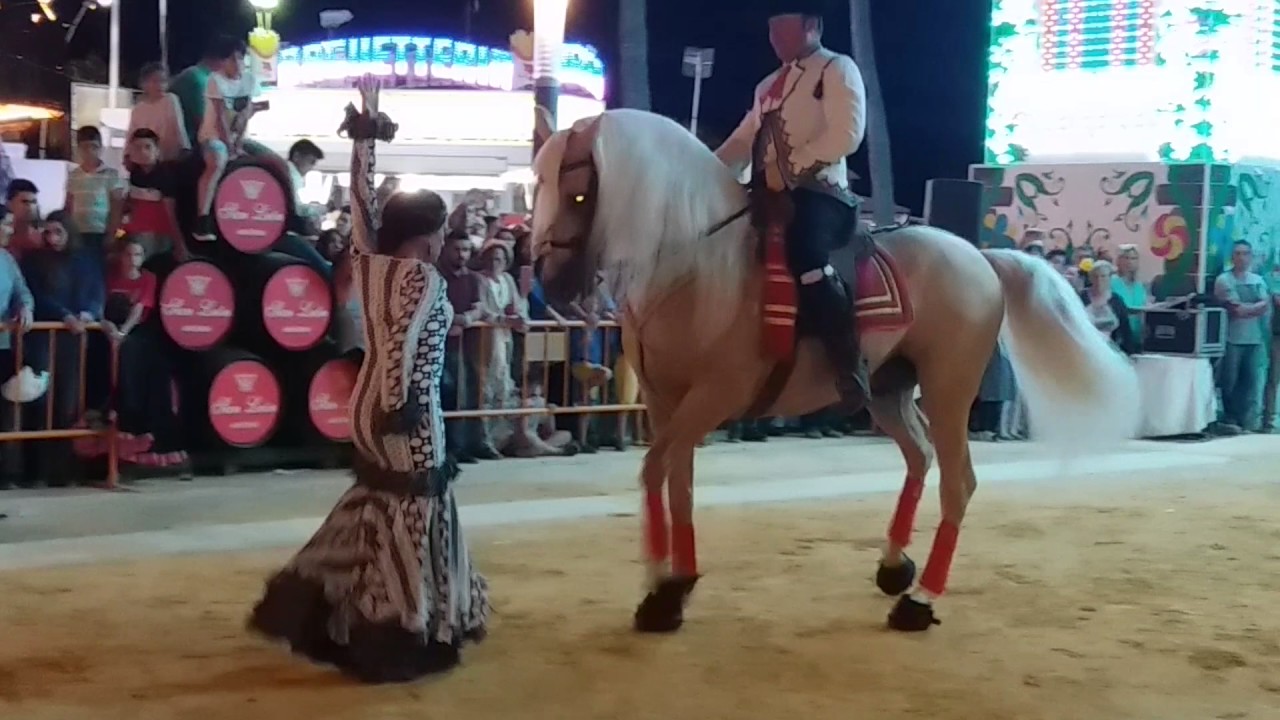 Caballos bailando Sevillanas en la feria de Sanlúcar de Barrameda