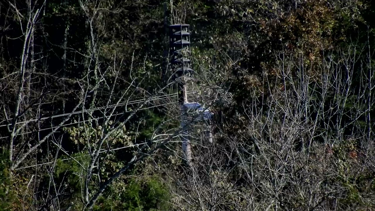 Whelen WPS 2906 | Westminster Chimes | Valley View, KY