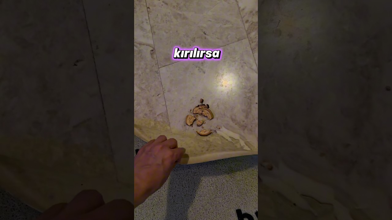 Şimdi herkes paspasını kontrol edecek 🦹🏻‍♀️