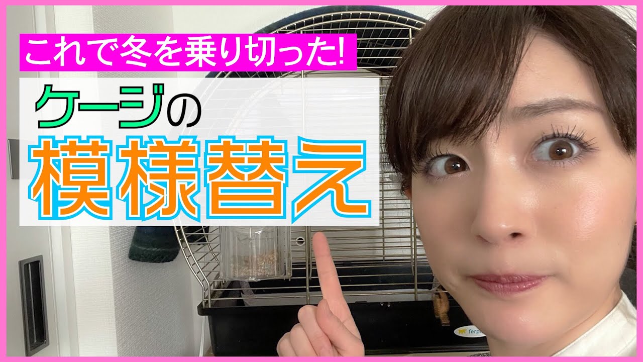 【何気なく新作！】ラピスはこれで冬を乗り越えました♪ 恵理那とラピスの部屋#31（ラストアーカイブ）