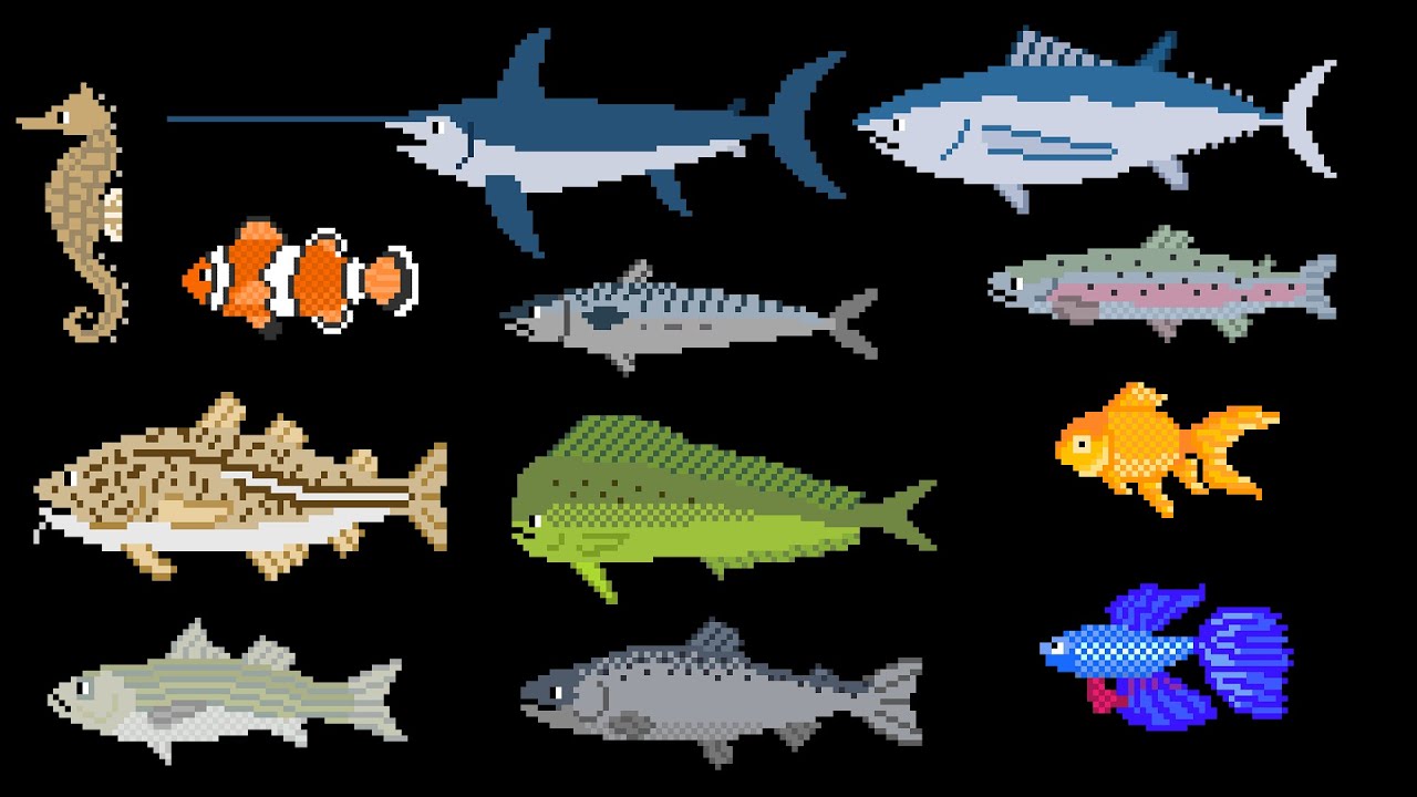 Fish - The Kids' Picture Show