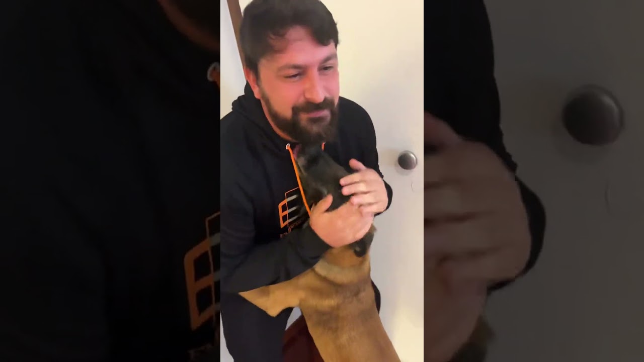 I DUE ERRORI DA NON COMMETTERE QUANDO RICHIAMI IL TUO CANE