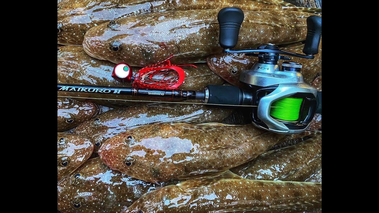 ПОЛОВИТЕ Флатхед на джиги Shimano Baku!