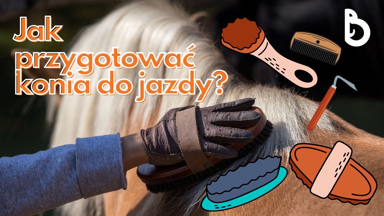 Jak przygotować konia do jazdy?