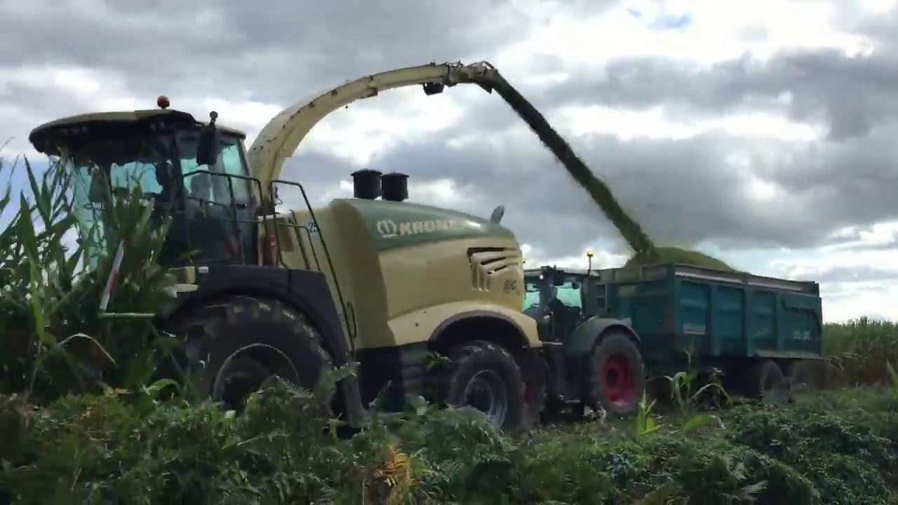 Ensilage de 2020