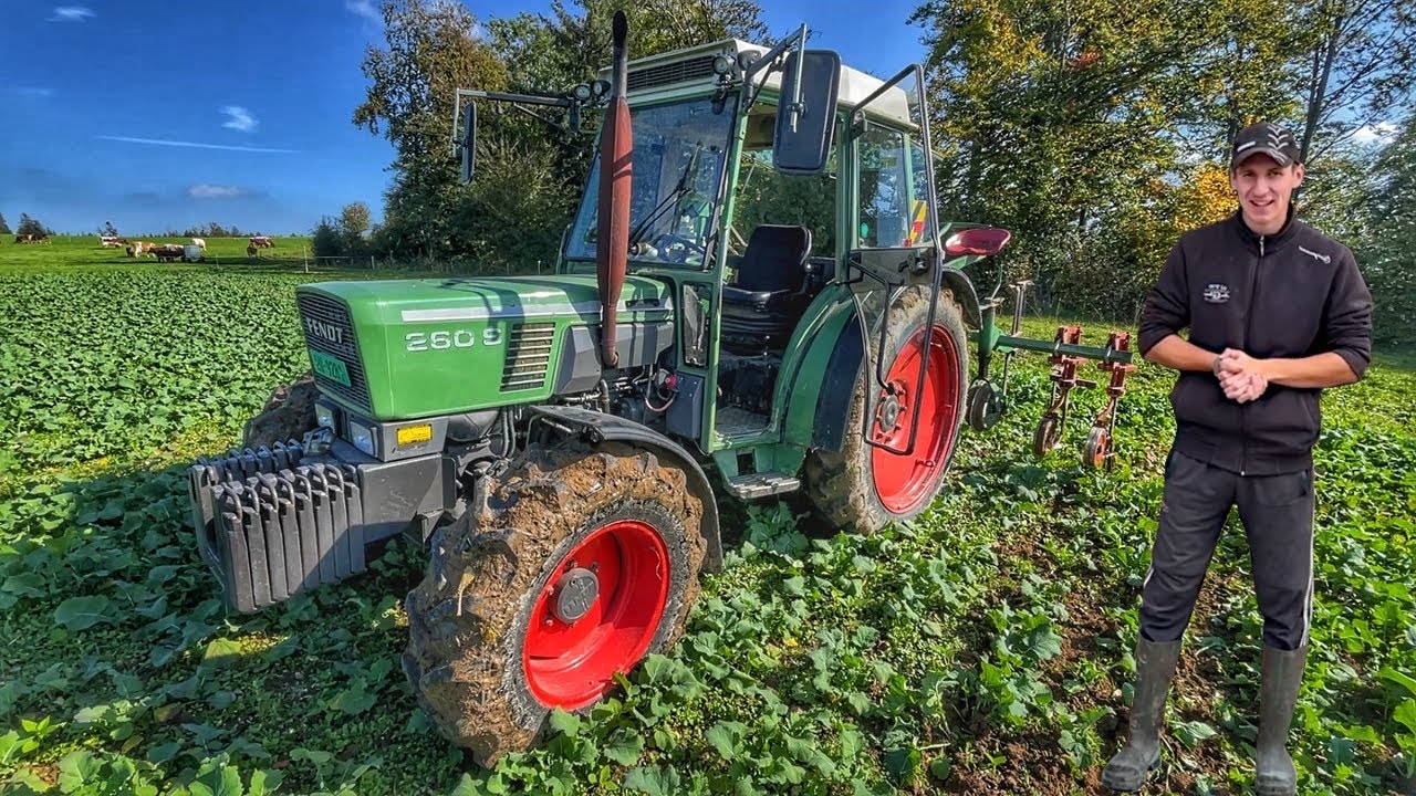Працюю на СТАРОМУ тракторі FENDT 260S, прополюємо з ШЕФОМ ЕКОріпак, УКРАЇНЕЦЬ на Фермі у Швейцарії