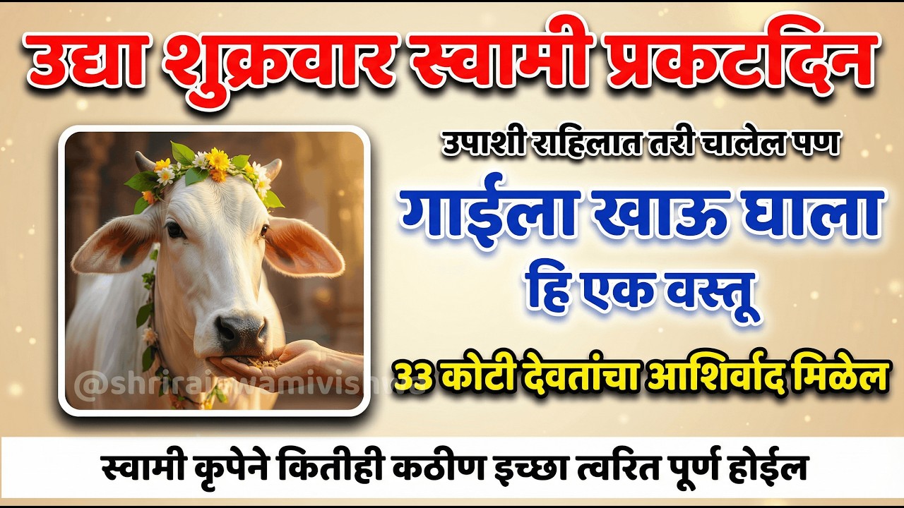 उद्या स्वामी प्रकटदिन | गाईला खाऊ घाला ही 1 वस्तू | कितीही कठीण इच्छा पूर्ण होईल 🙏