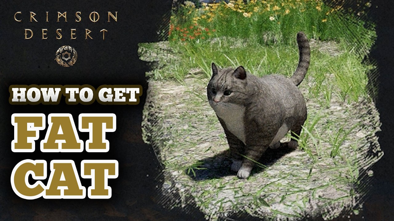 How to Get Fat Cat in Crimson Desert - Starting Loafy Cat Locations & Pet Armor Shop