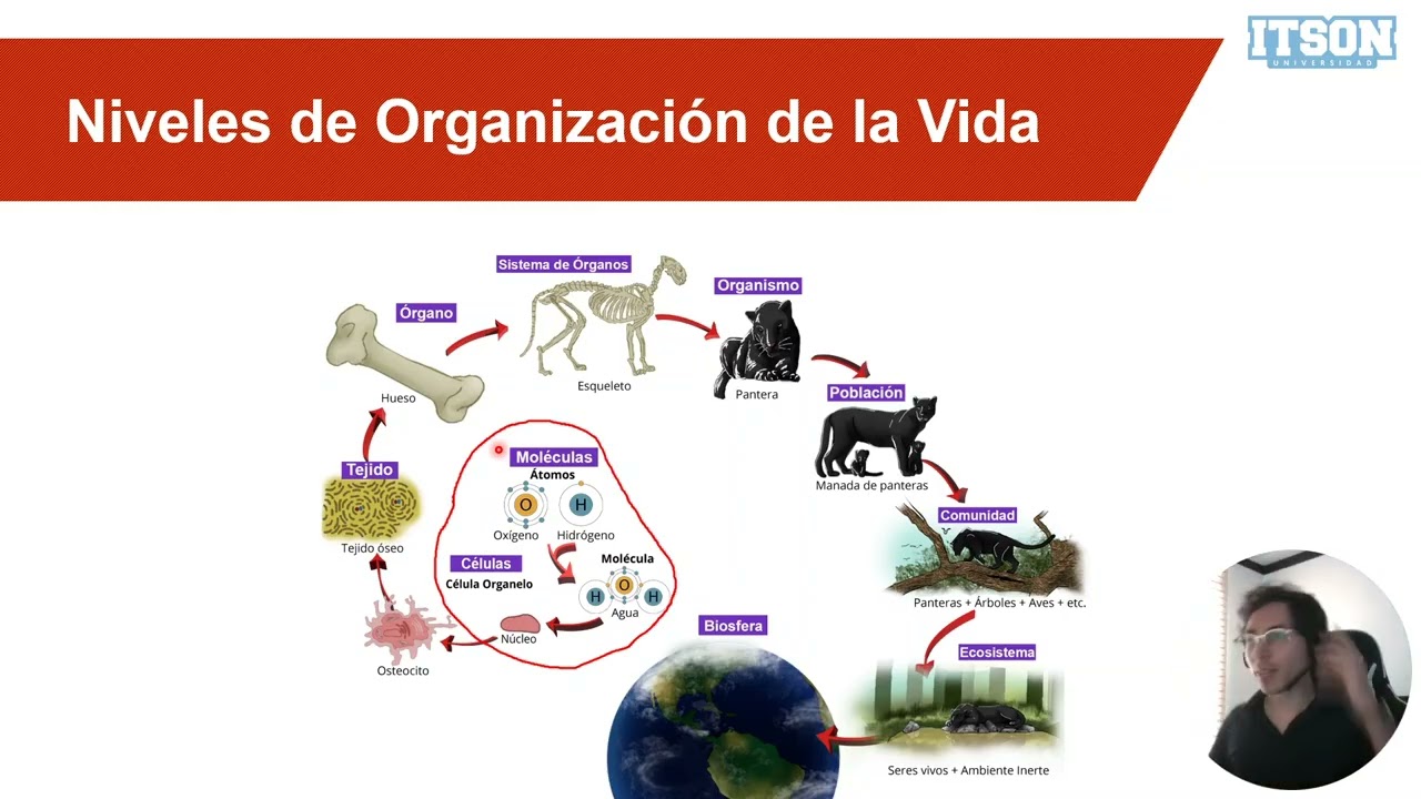 Bienvenida Ago-Dic 2025. Bioquímica Veterinaria