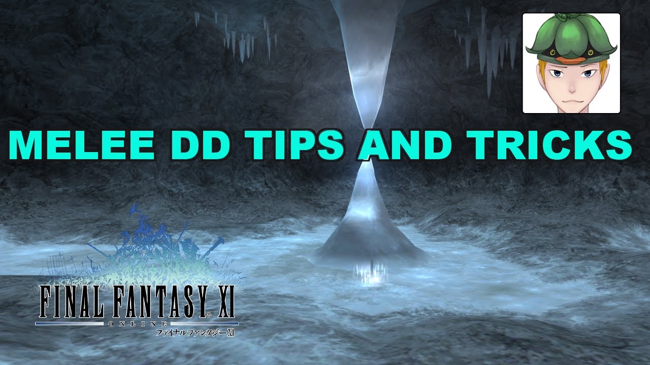FFXI Melee DD Tips and Tricks