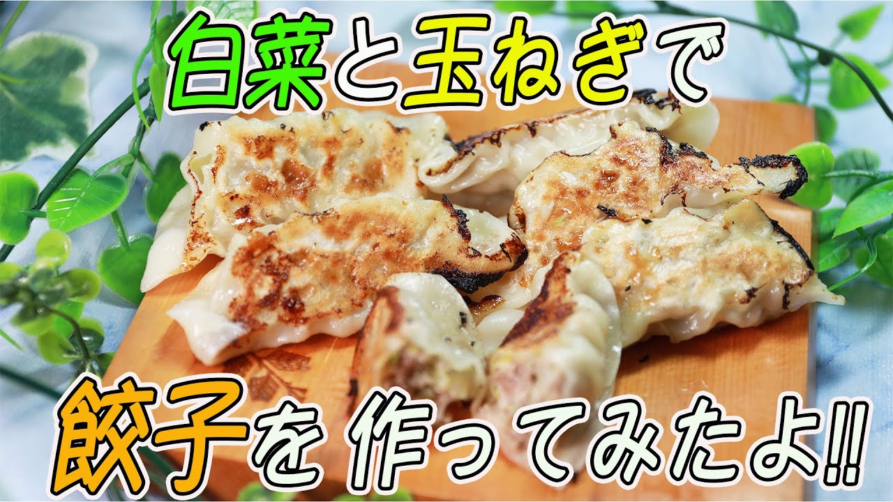 白菜と玉ねぎで餃子を作ってみたよ!!