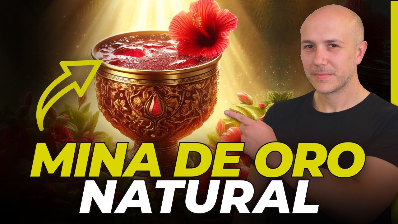 ¡SUPER BEBIDA! Una Mina de ORO natural en la FLOR DE JAMAICA (hibisco)