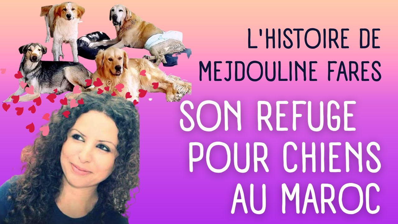 Mejdouline Fares, son refuge pour CHIENS au Maroc, sa MORT tragique