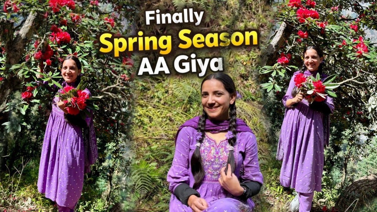 Finally spring 🌸season aa Gaya 😇|| Jungle se lai kasrod ki sabzi 😋UR83 @Usharajput_214 