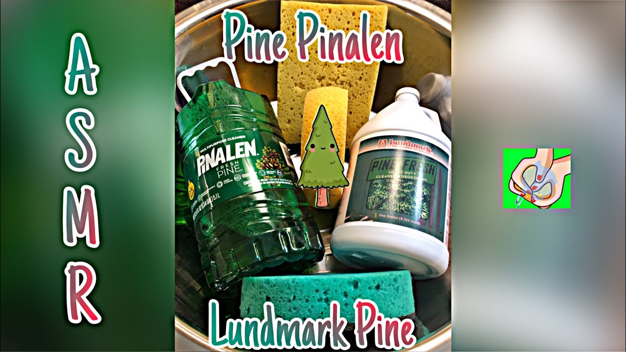 Pinalen & Lundmark Pine ASMR~Sudsy Squeezes~Sudsy Rinsing~Sponge Sounds #asmr #pinepinalen #lundmark