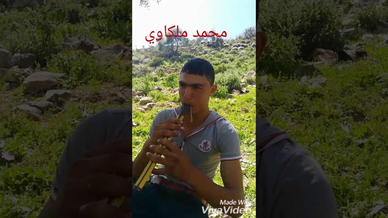 شاعر المجوز محمد الملكاوي