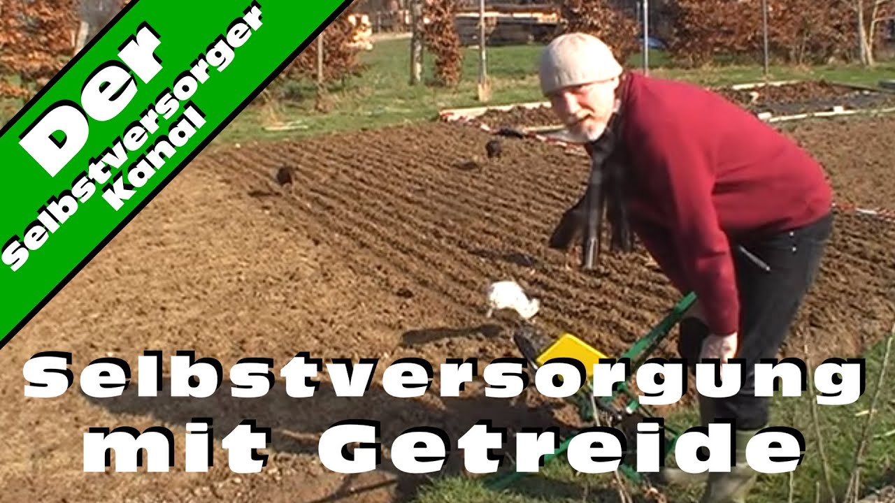 Selbstversorgung mit Getreide so wird's gemacht