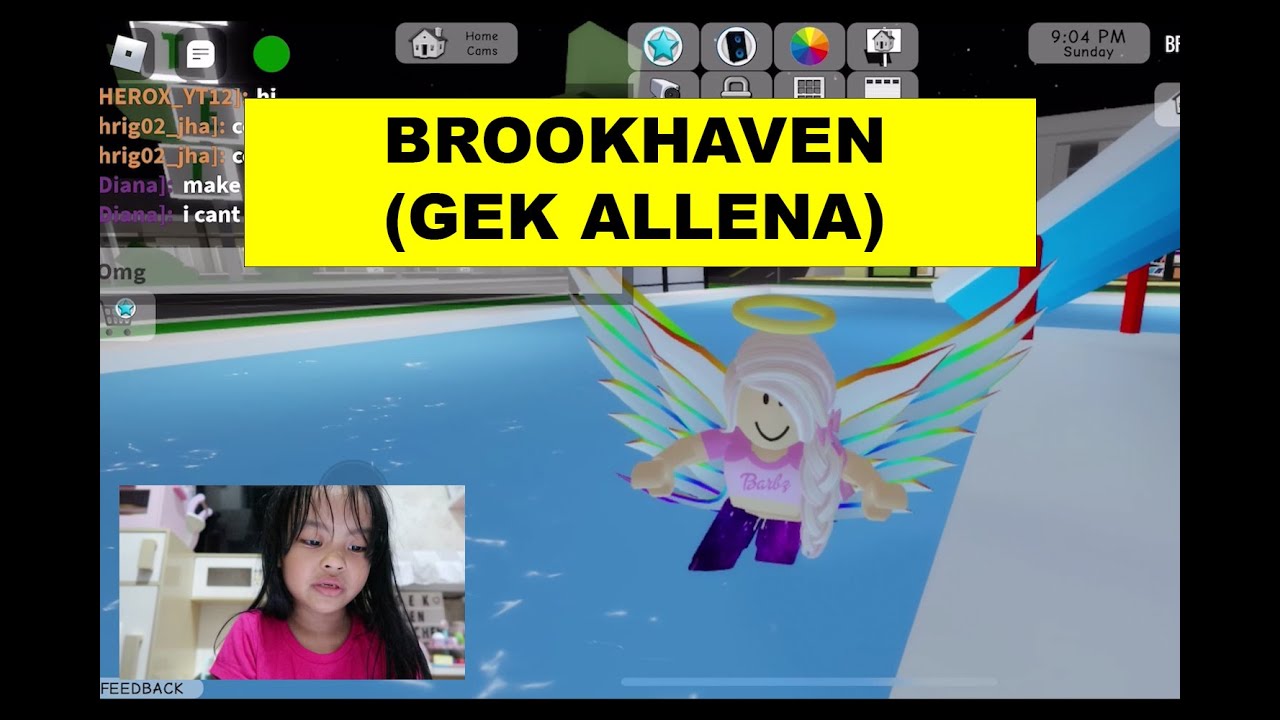 PLAYING BROOKHAVEN, BUILD THE HOUSE