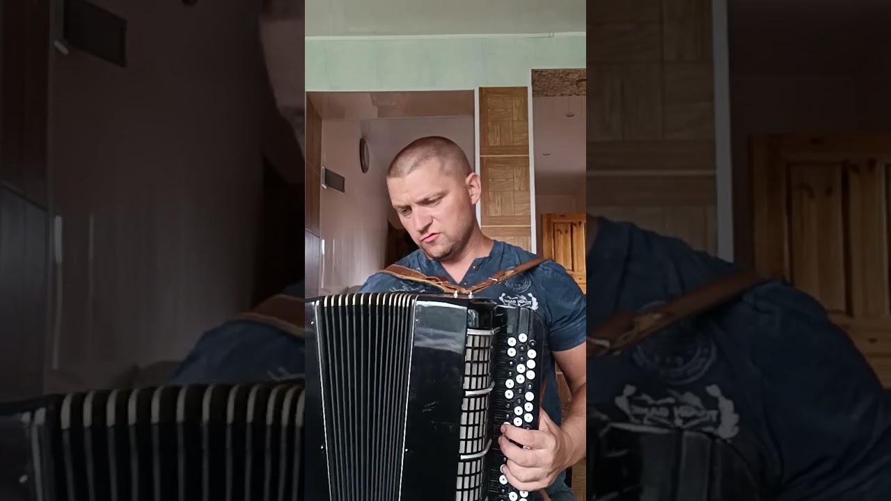 Московский цельнопланочный баян Былина