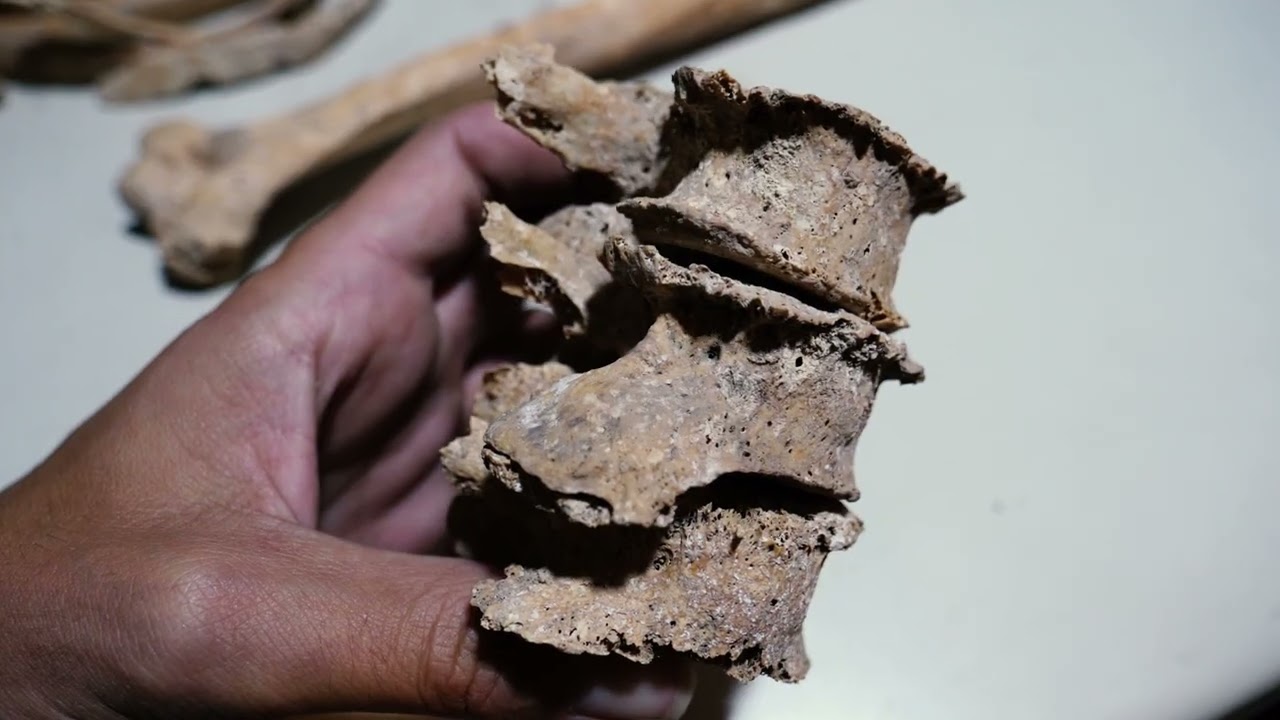 LAS CUEVAS SEPULCRALES DE CARCELÉN