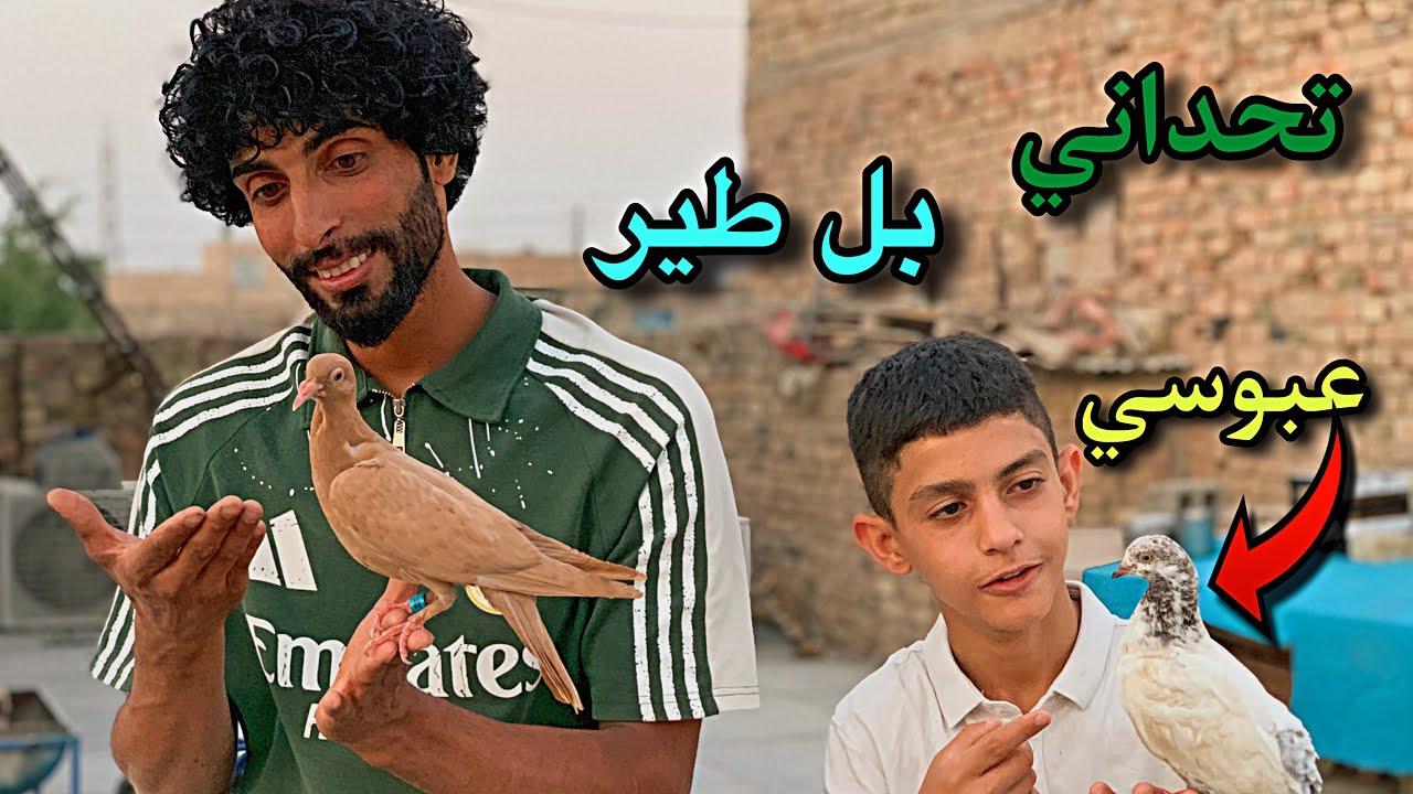 عبوسي تحداني بل🕊️طيرمالت أليف😂