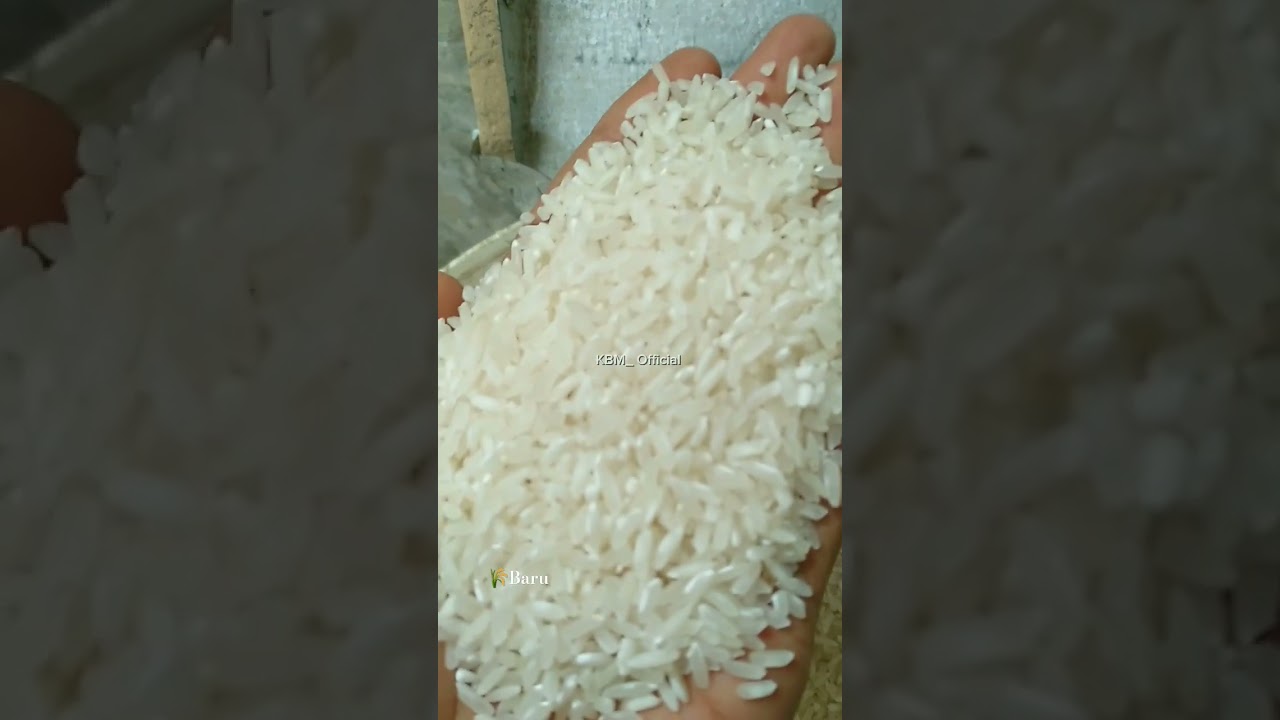#penggilingpadi #rice #penggilinganpadi
