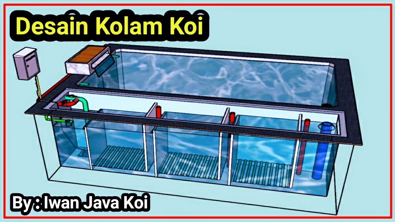 Membuat Desain Kolam Koi Minimalis