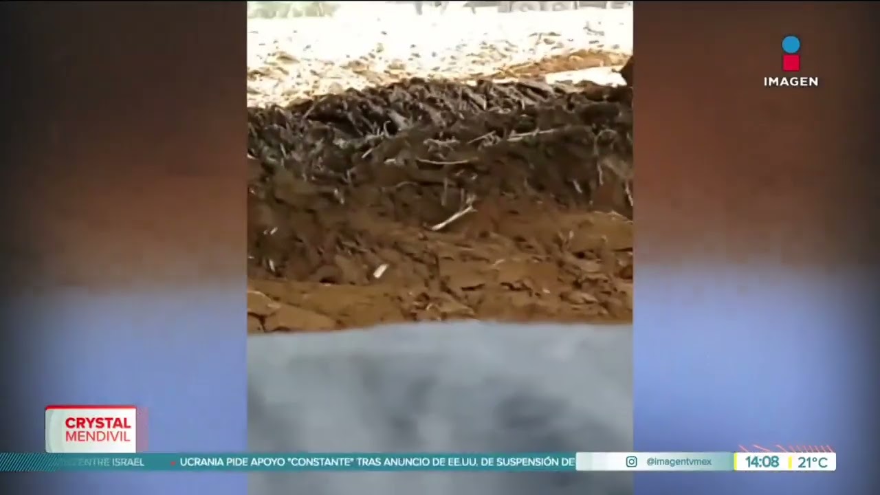 Alerta máxima por ataques armados en Michoacán | Noticias con Crystal Mendivil
