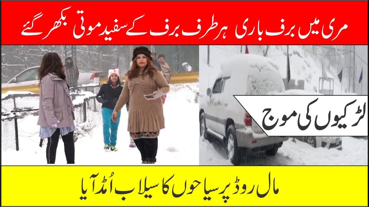 murree snowfall 2021 vlog live  mall road  kalam valley swat  |  Pak King TV