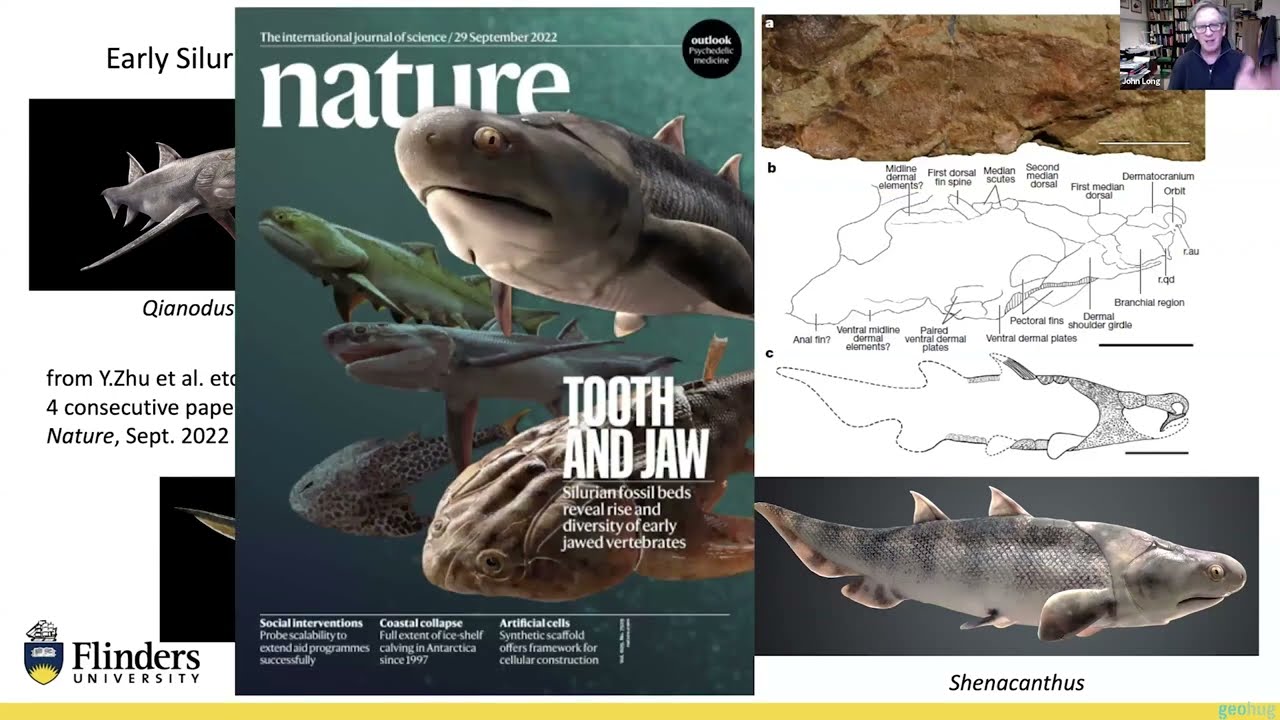 John Long - The Secret History of Sharks: Lessons in Evolution and Survival