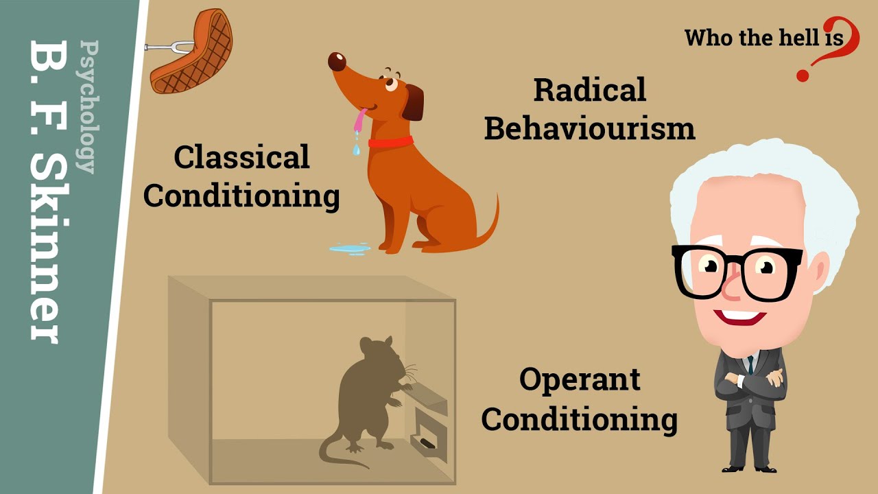 Operant Conditioning vs. Classical Conditioning in B.F. Skinner's Radical Behaviourism