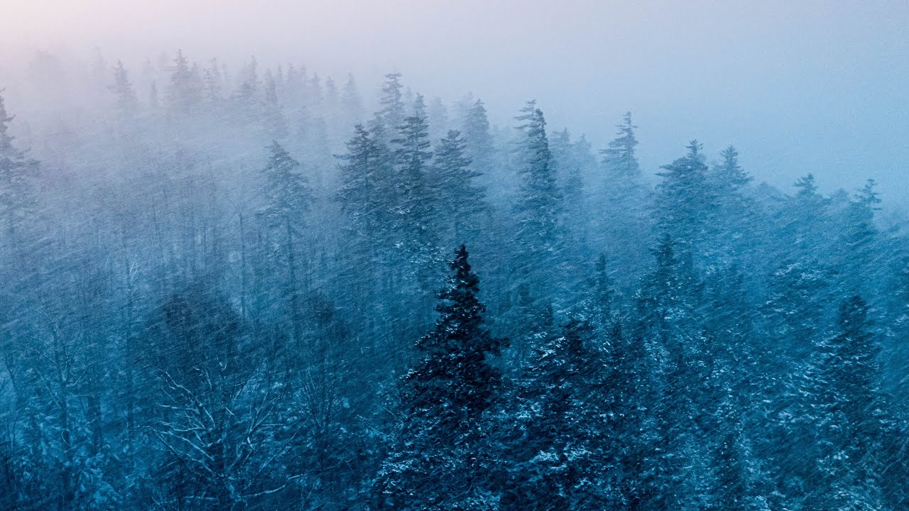 That Old Fashioned New England Winter Feeling ❄️