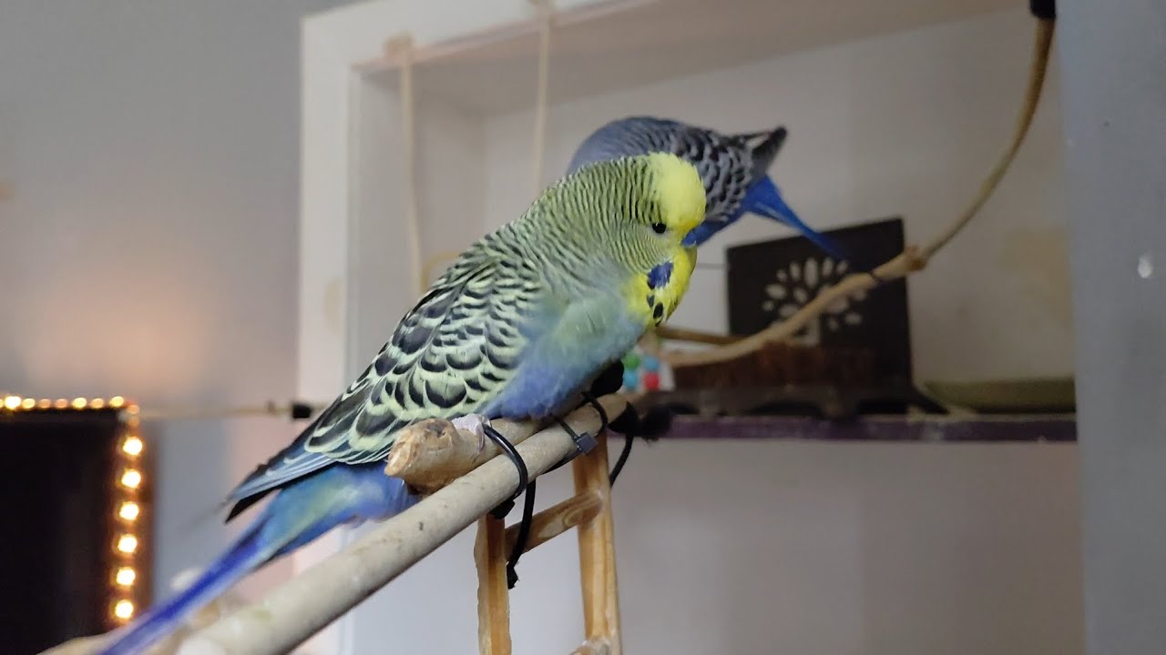 They're so switched on