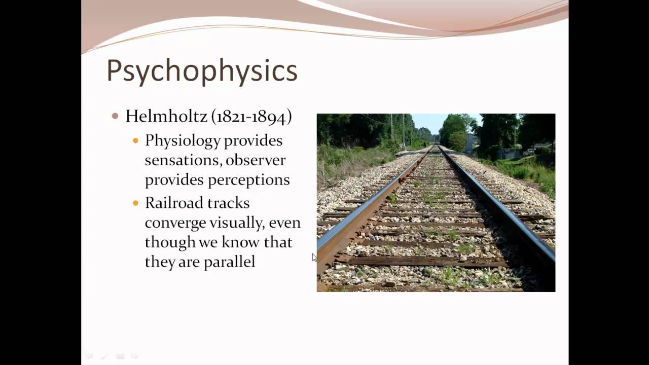 3Ps - Physiology, Phrenology, and Psychophysics
