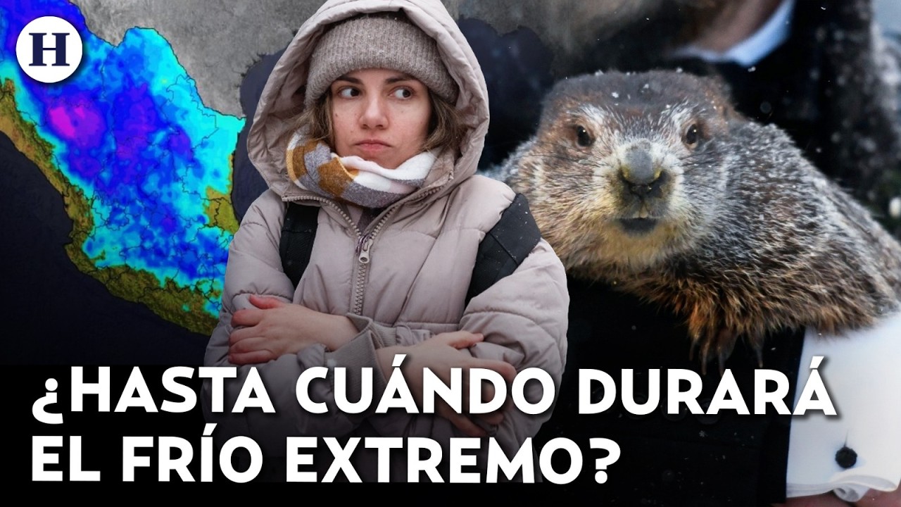 ¿Una marmota predijo el clima? Frentes fríos y aire polar azotarán varios estados de México