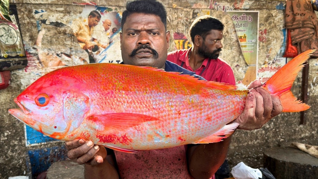KASIMEDU SELVAM PINK SNAPPER FISH CUTTING | UK SONS MARINE 🇮🇳