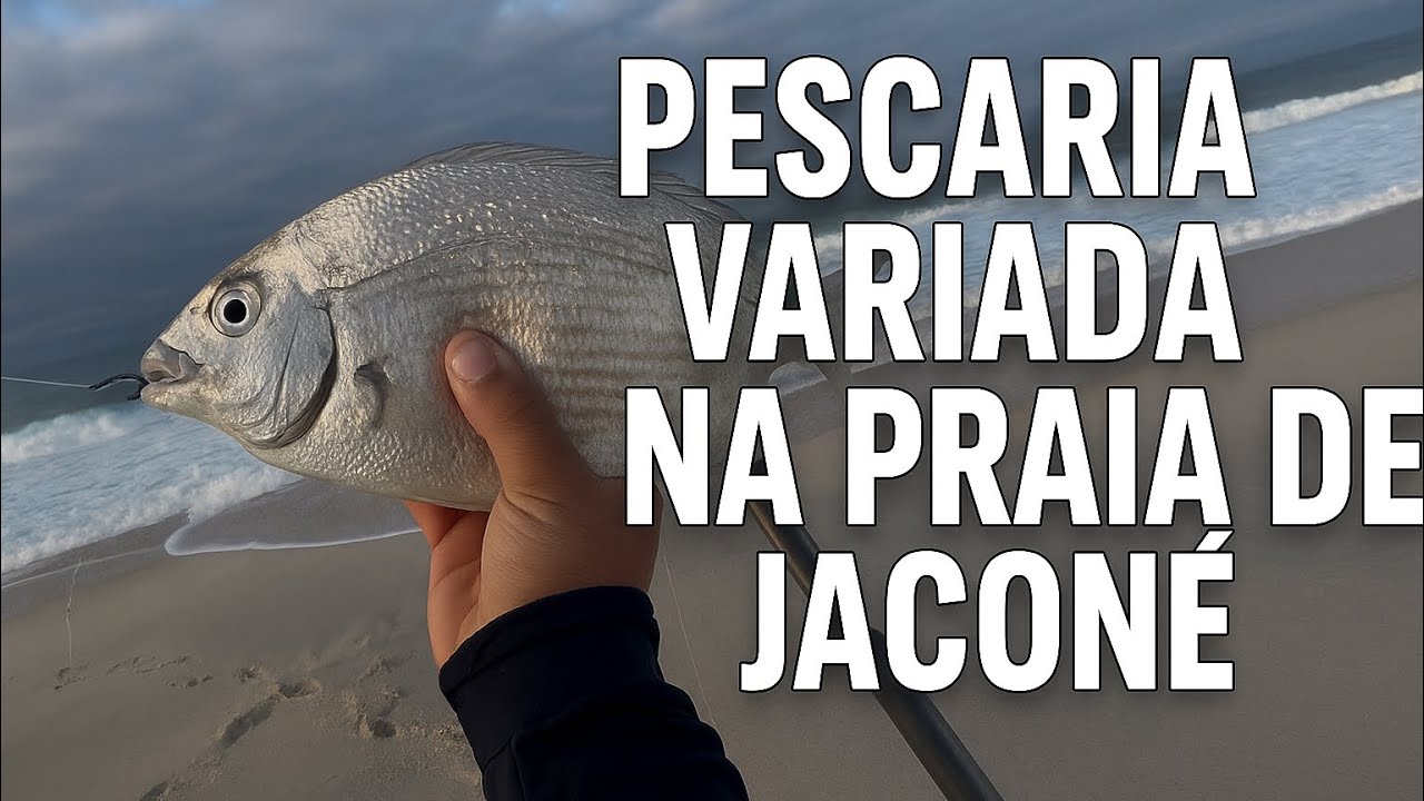 MUITO VENTO E CORRENTEZA - PESCARIA VARIADA - COMO ISCAR CAMARÃO
