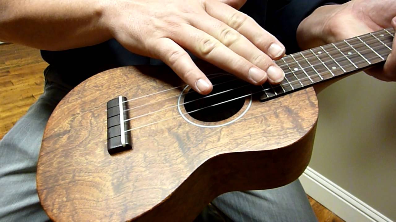 LoPrinzi Concert Highly Figured Koa  Demo