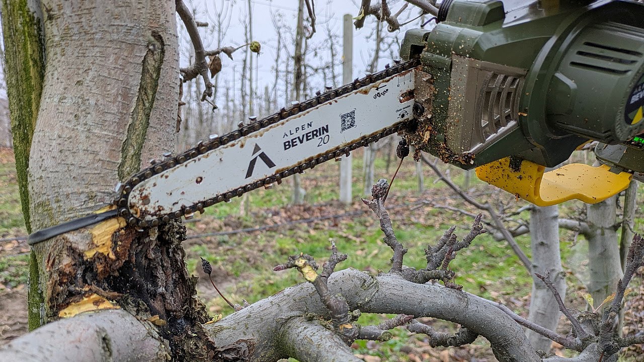Karczujemy i czyścimy zgorzele. Test piłki elektrycznej BEVERIN 20