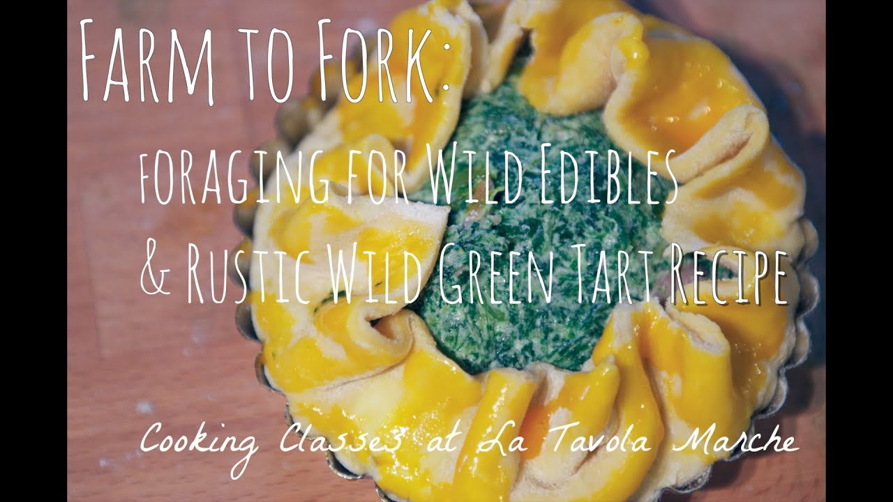 Farm to Fork Cooking Class in (Le Marche) Italy: Foraging for Wild Edibles & Rustic Tart Recipe